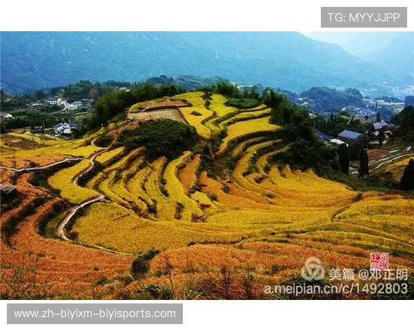 足球火山口赛想象是否为未来极限体育赛事跨越地质边界提供新思路